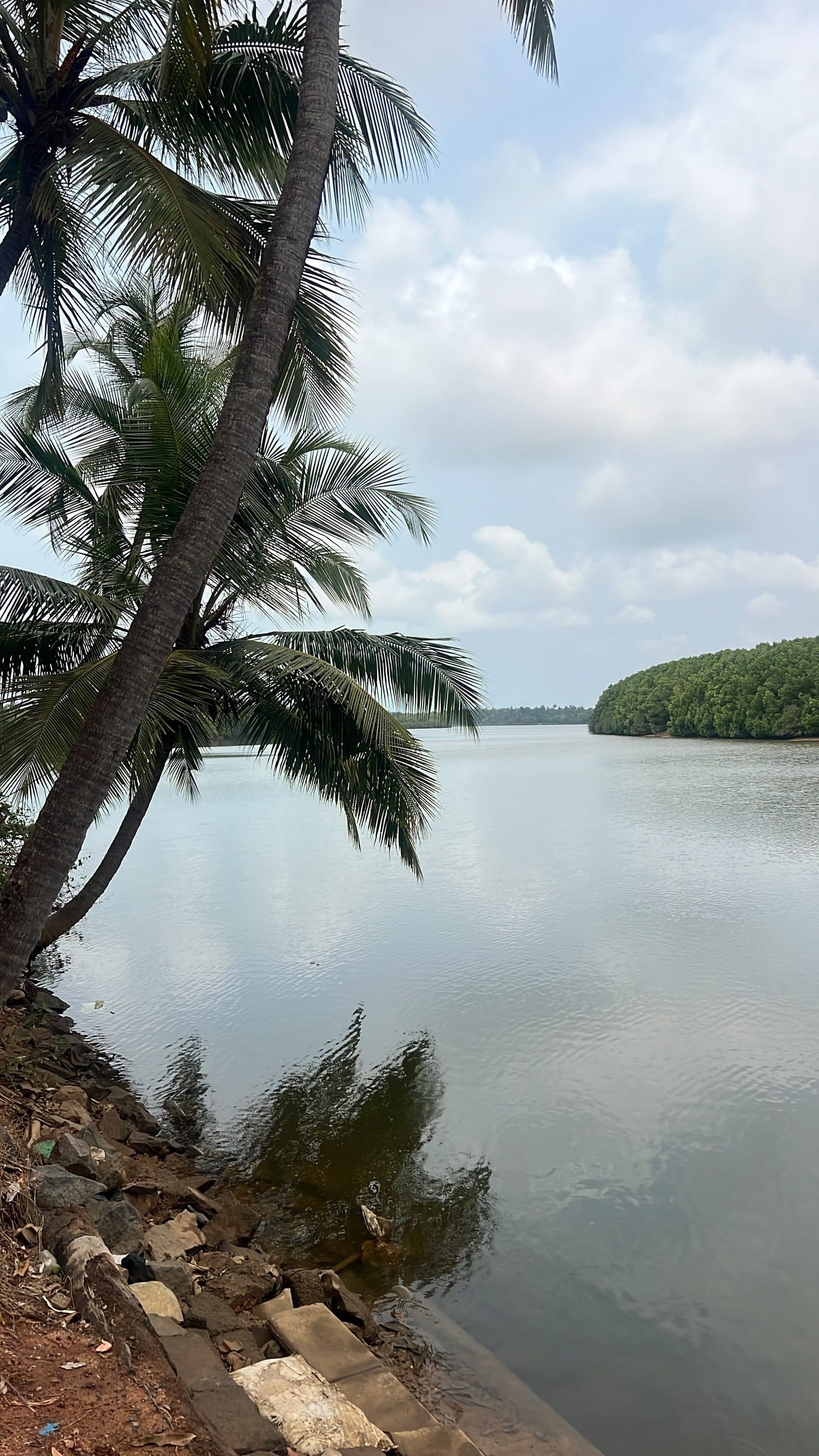 Chikmagalur Detox, photo 1 of 5