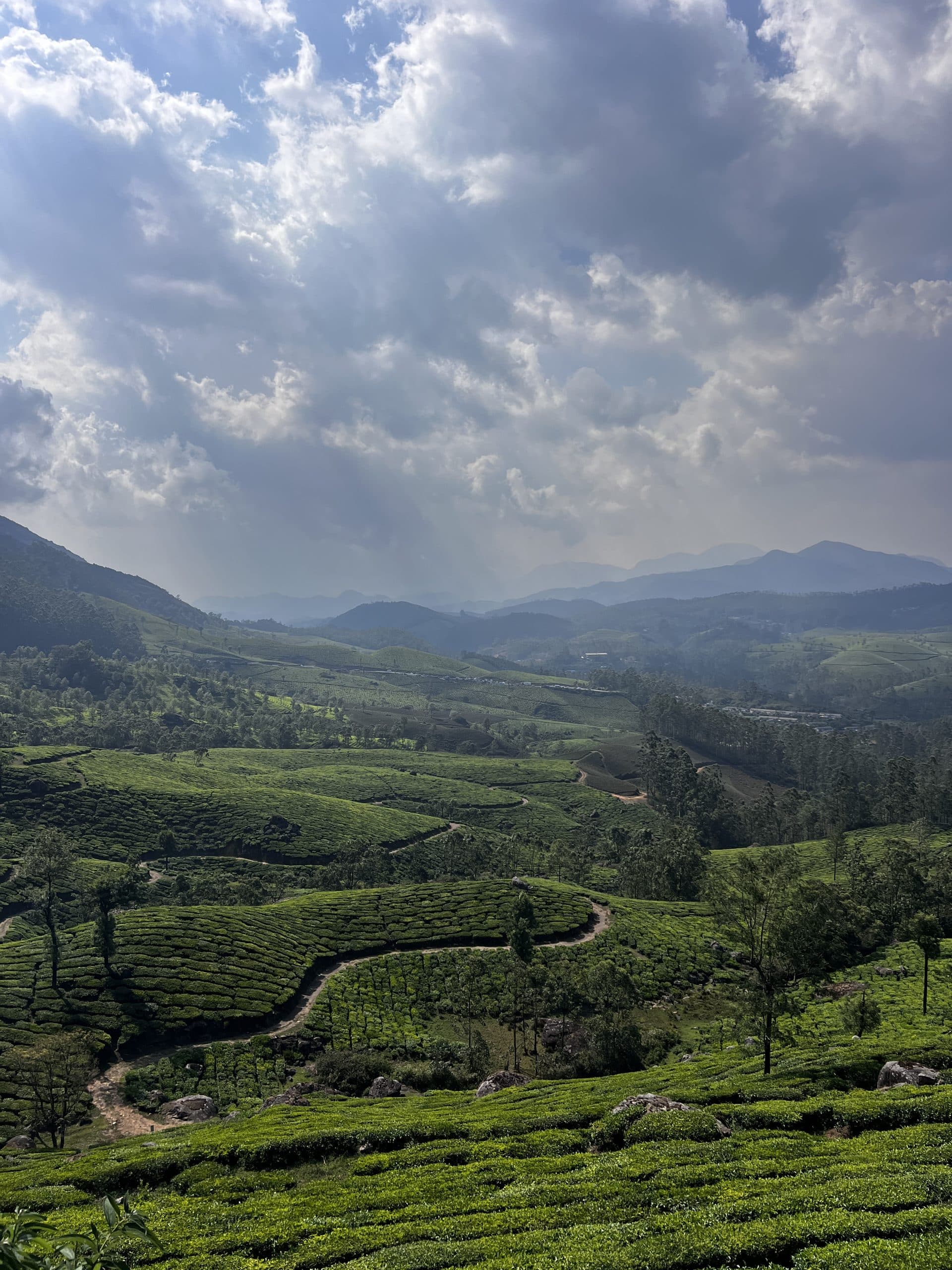 Munnar Vagamon