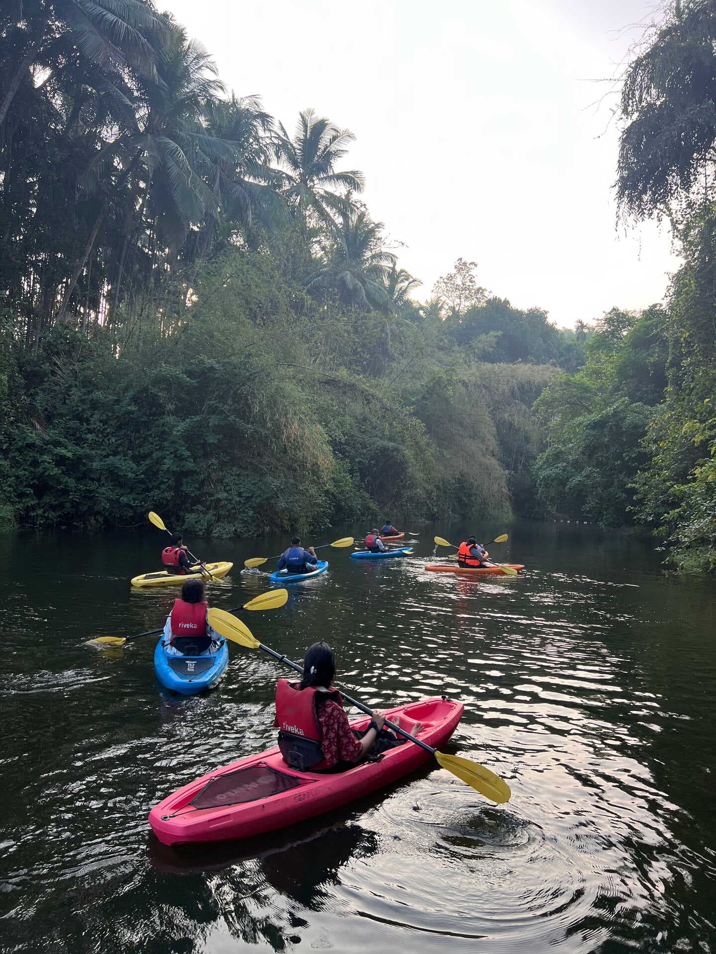 Palakkad